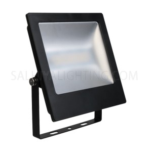 Megaman Outdoor Flood Light 24W Daylight