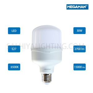 Megaman LED Classic Bulb E27 30W 6500K -Day Light