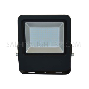 Radium LED Flood Light FLLA1767 100W 6500K (Daylight)