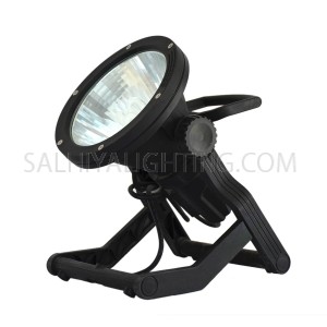 Outdoor Spot Light Megaman Earth Spike Light 30W Black